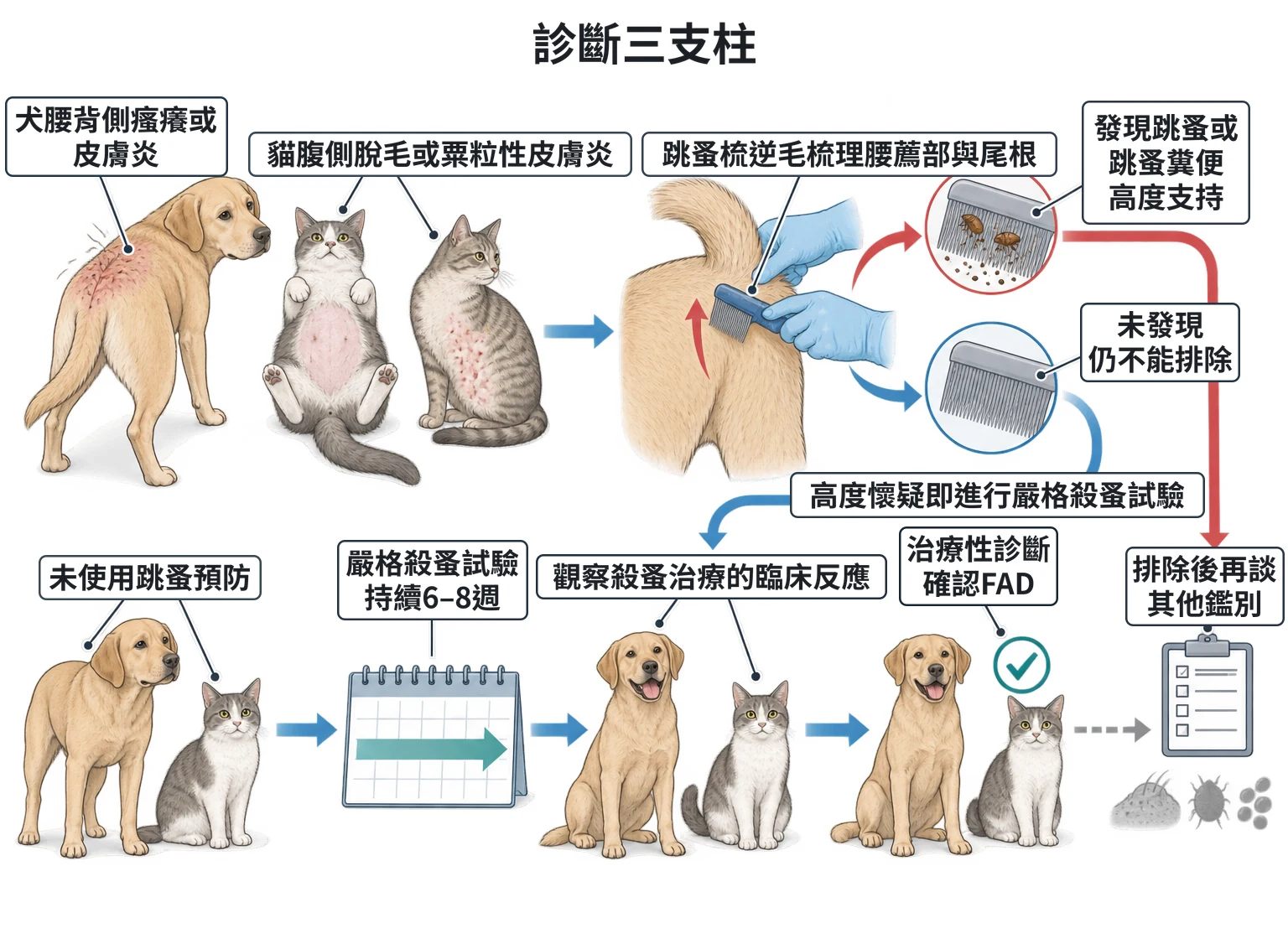 診斷三支柱教學插圖