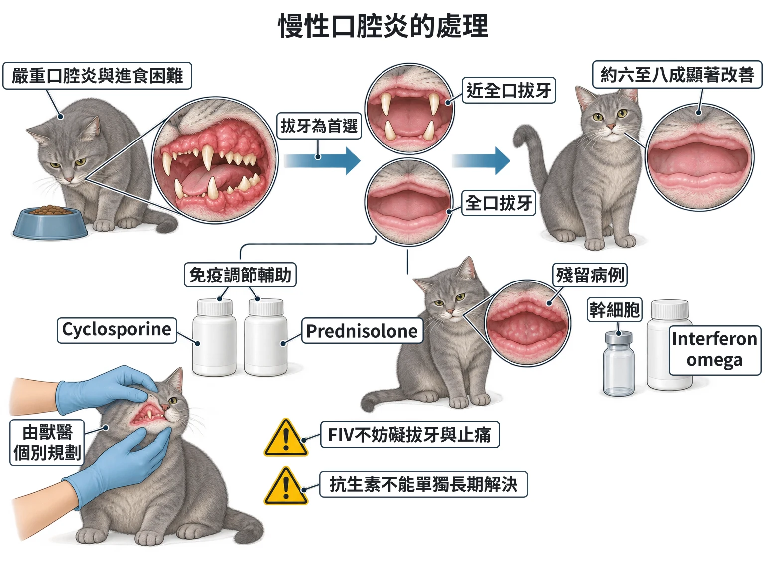 慢性口腔炎的處理教學插圖