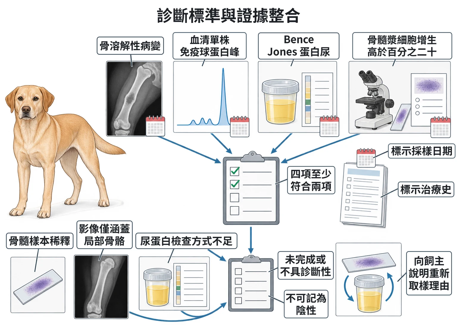 診斷標準與證據整合教學插圖