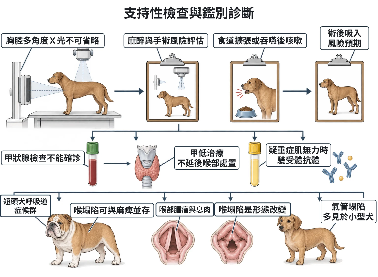支持性檢查與鑑別診斷教學插圖