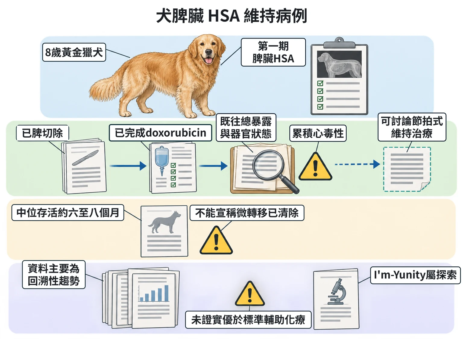 犬脾臟 HSA 維持病例教學插圖