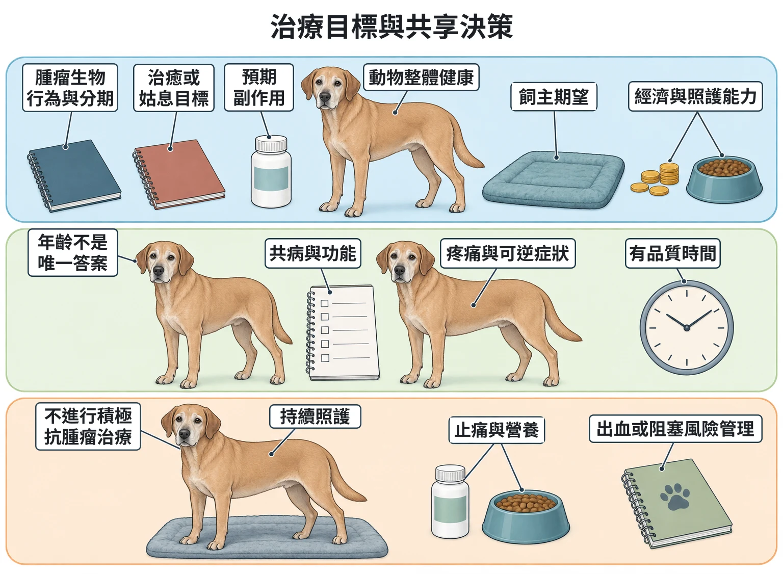 治療目標與共享決策教學插圖