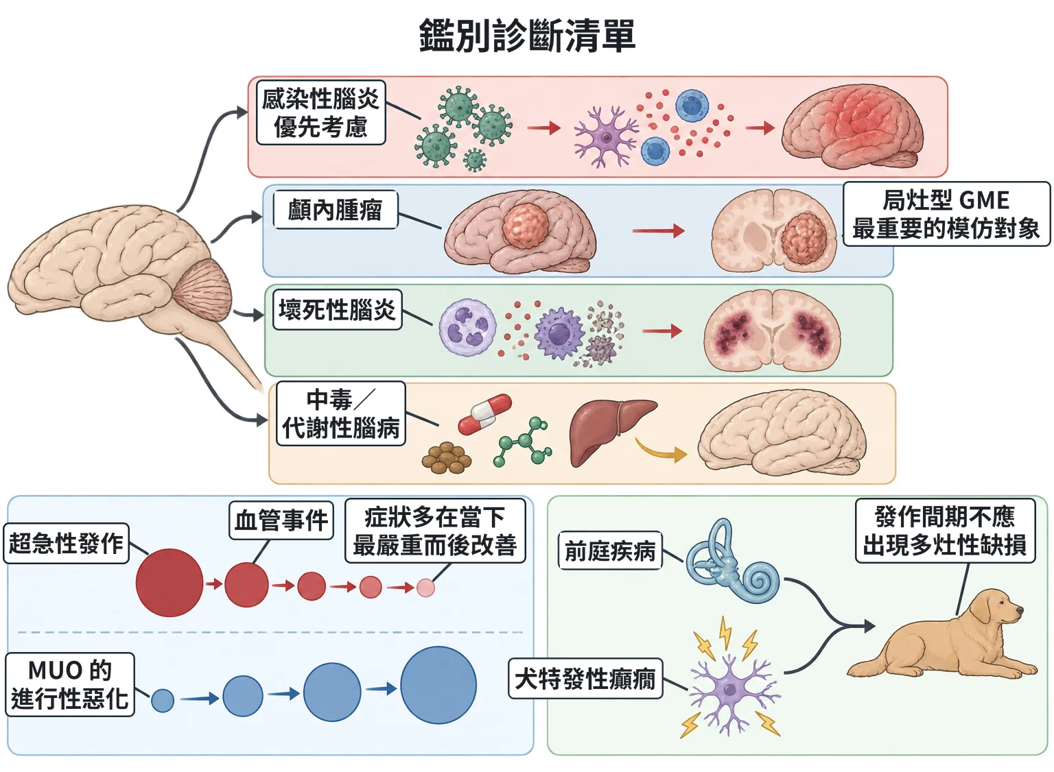 鑑別診斷清單教學插圖