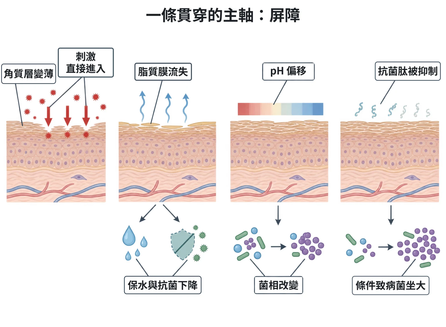 一條貫穿的主軸:屏障教學插圖