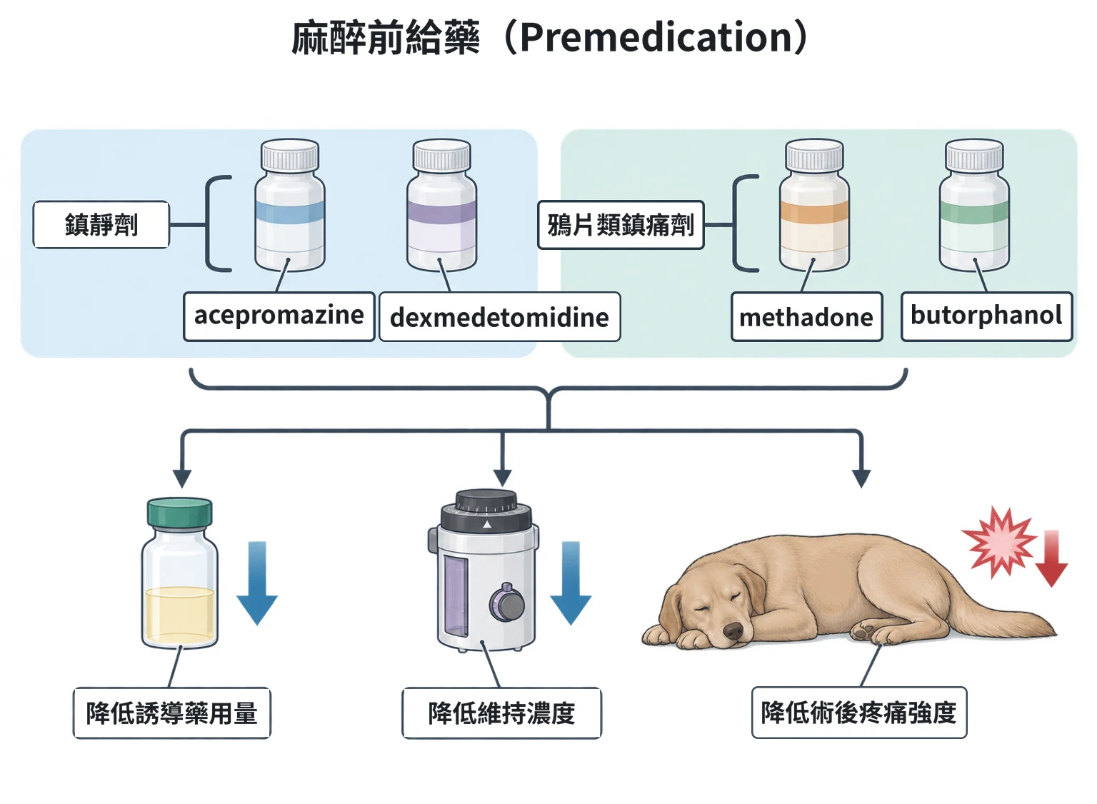 麻醉前給藥(Premedication)教學插圖