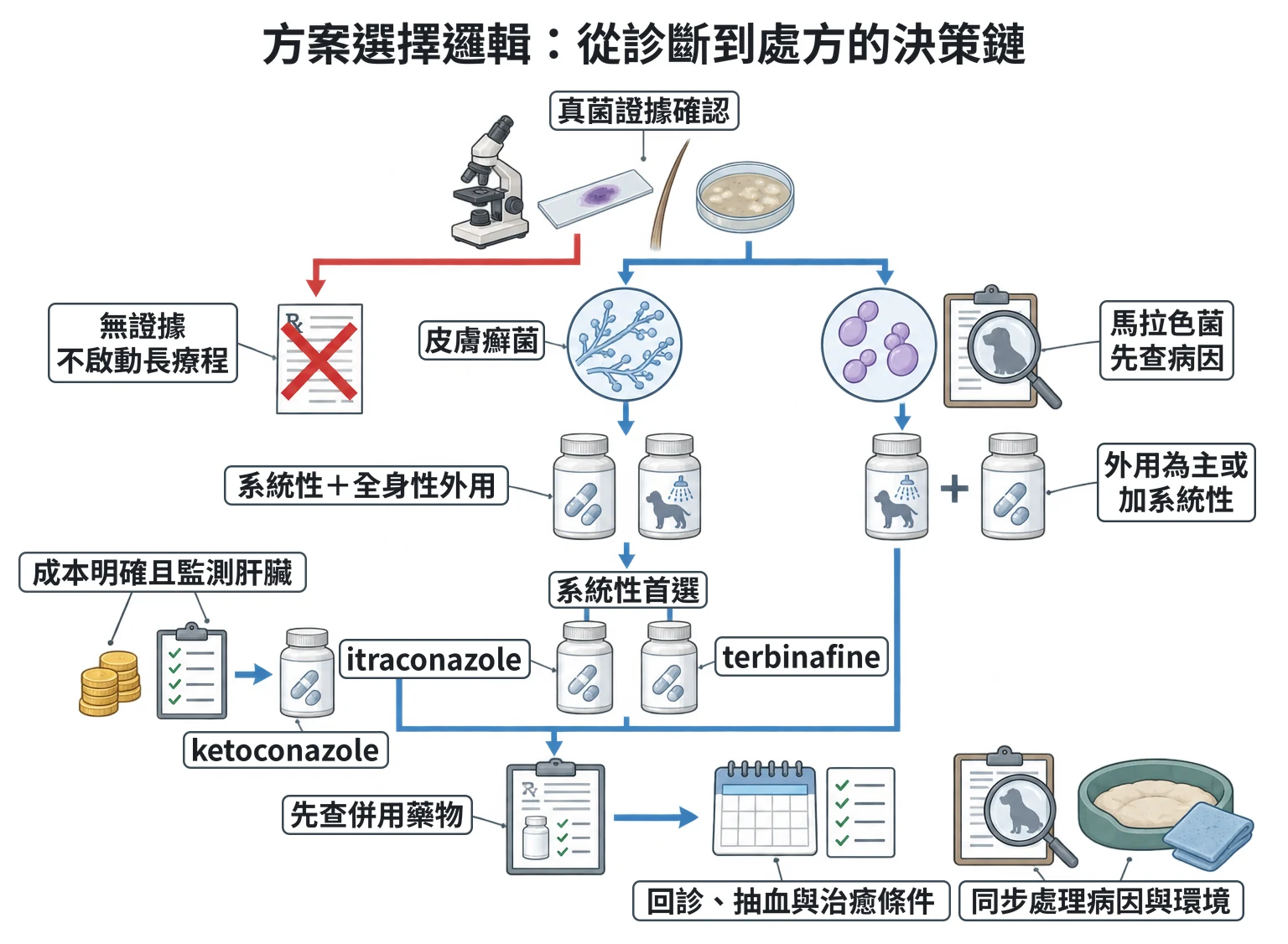 方案選擇邏輯:從診斷到處方的決策鏈教學插圖