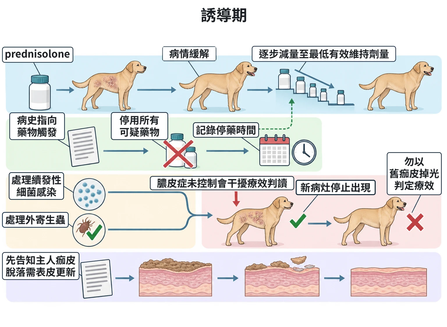誘導期教學插圖
