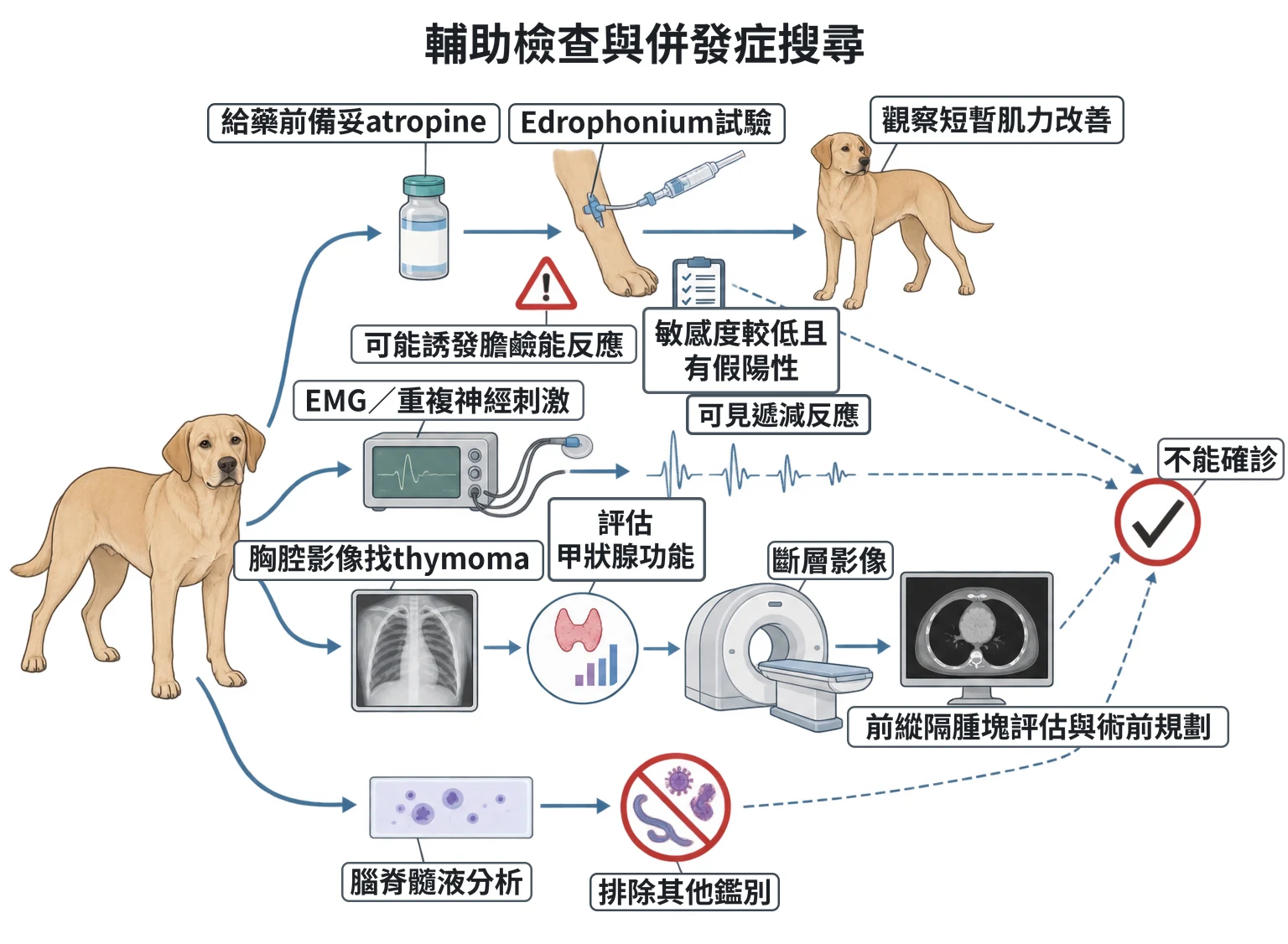 輔助檢查與併發症搜尋教學插圖