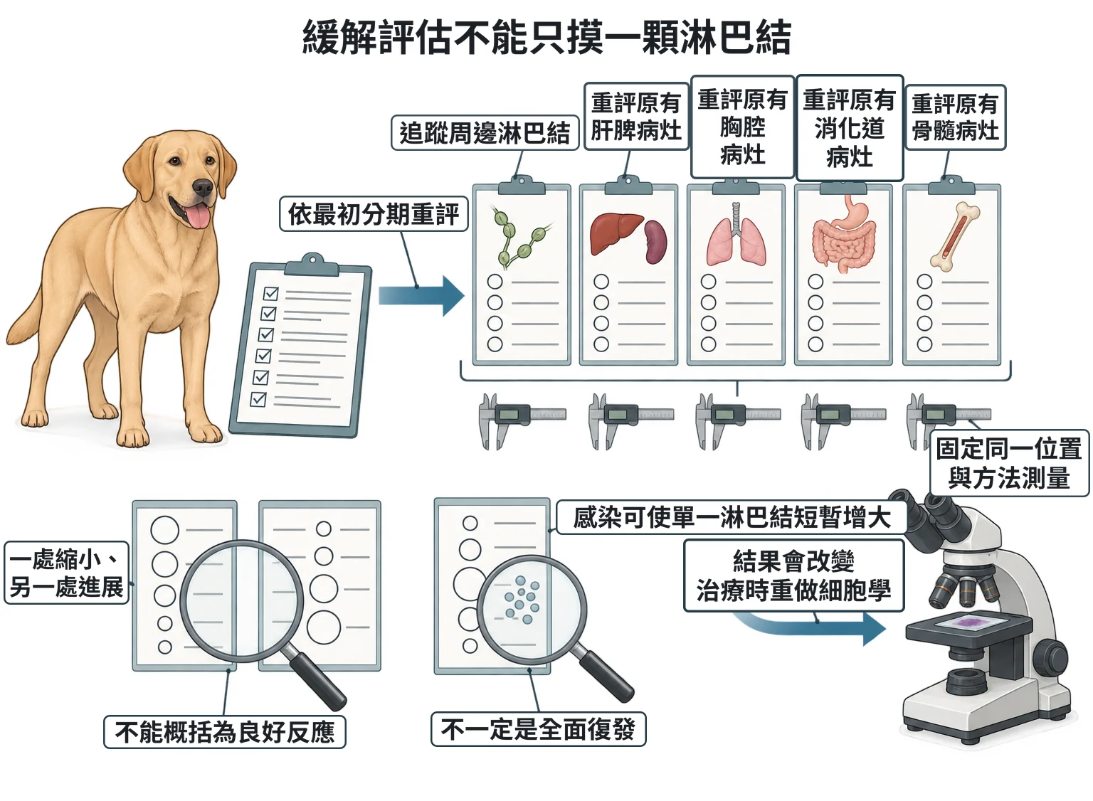 緩解評估不能只摸一顆淋巴結教學插圖