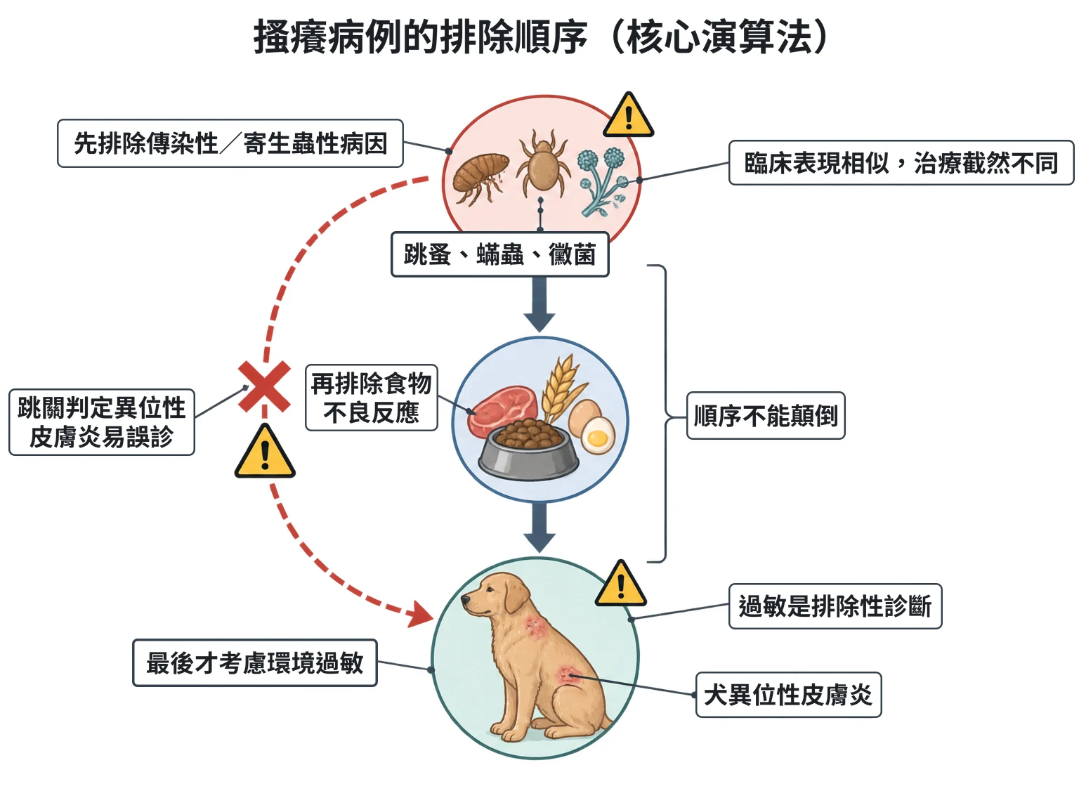 搔癢病例的排除順序(核心演算法)教學插圖