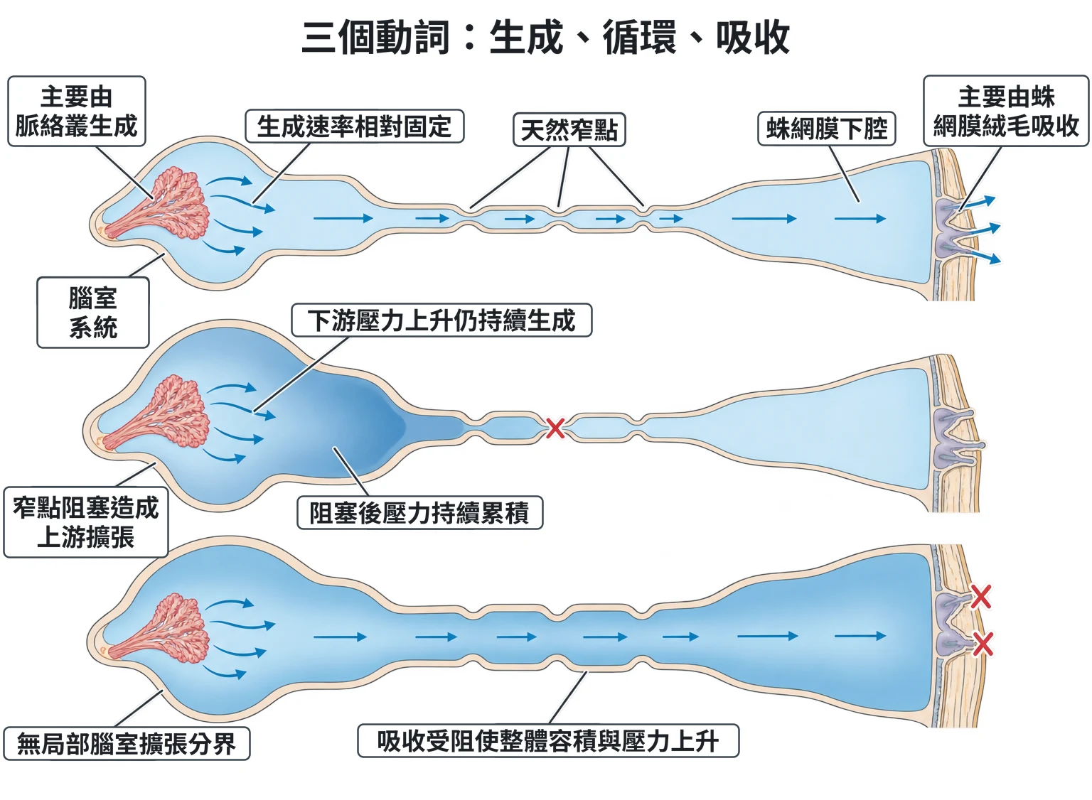 三個動詞:生成、循環、吸收教學插圖