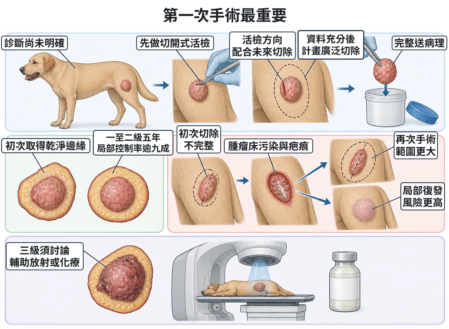 第一次手術最重要教學插圖