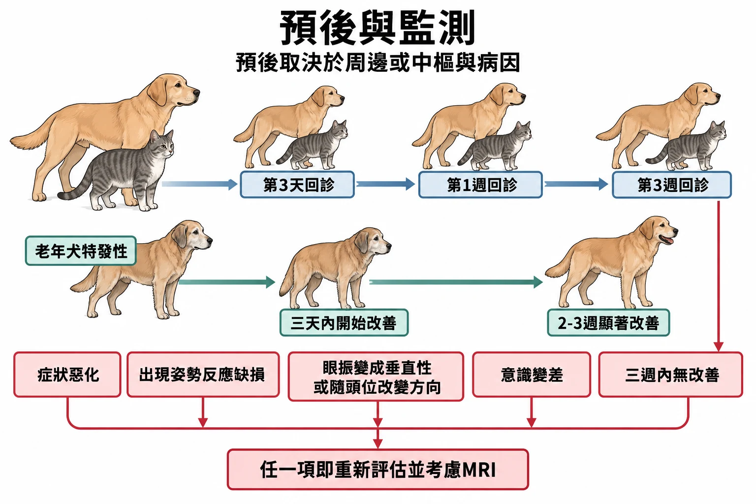 預後與監測教學插圖