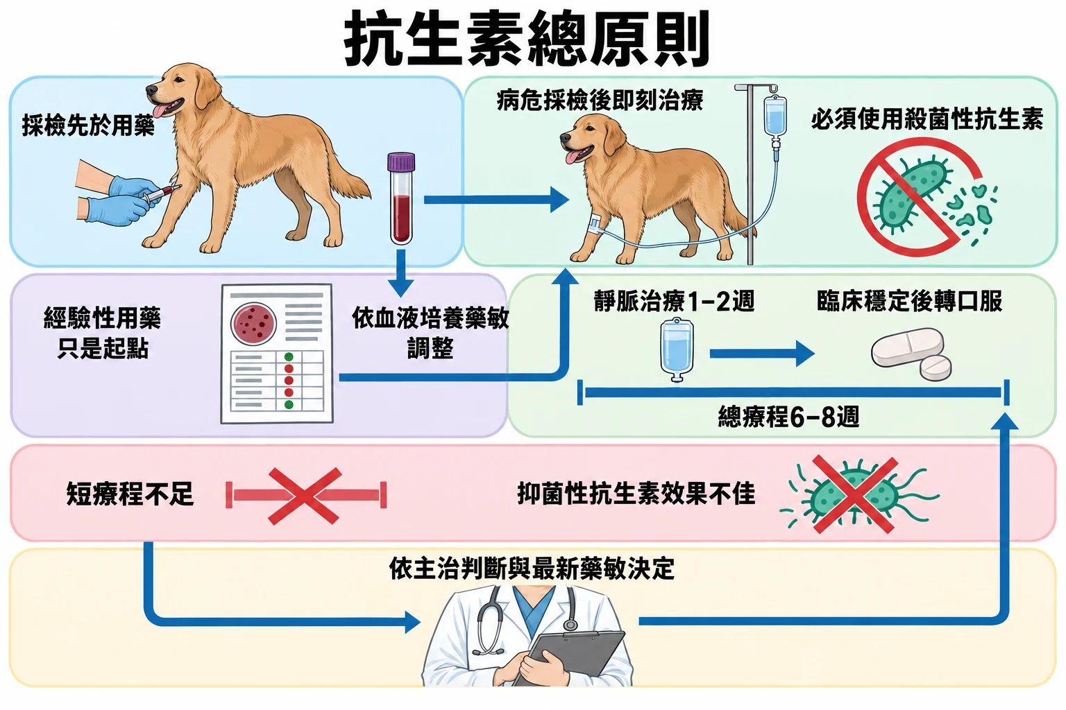 抗生素總原則教學插圖