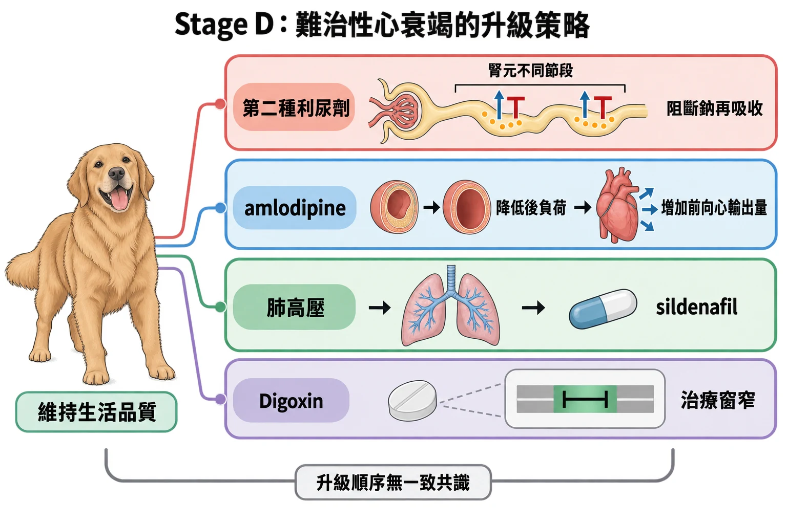 Stage D:難治性心衰竭的升級策略教學插圖
