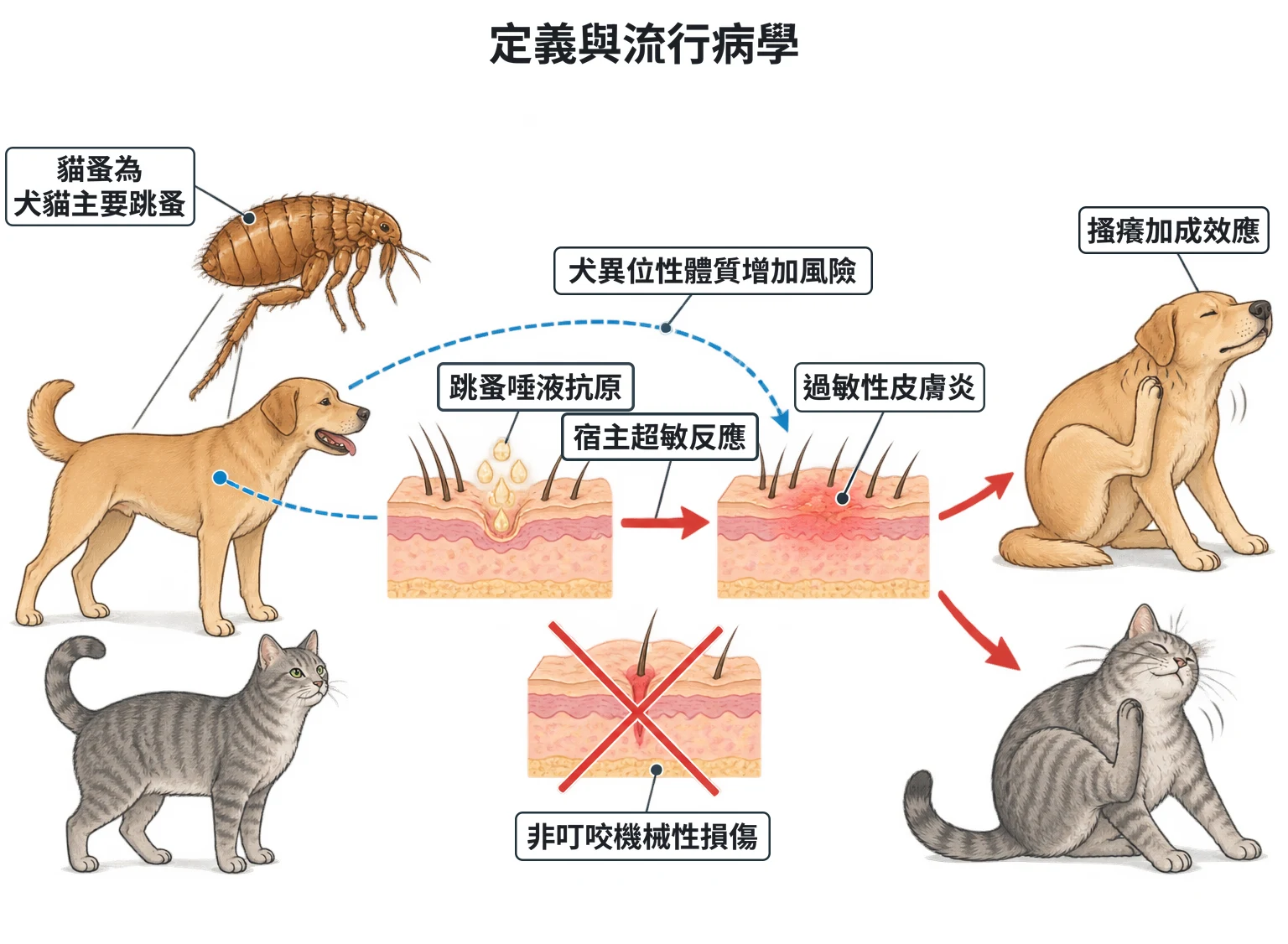 定義與流行病學教學插圖