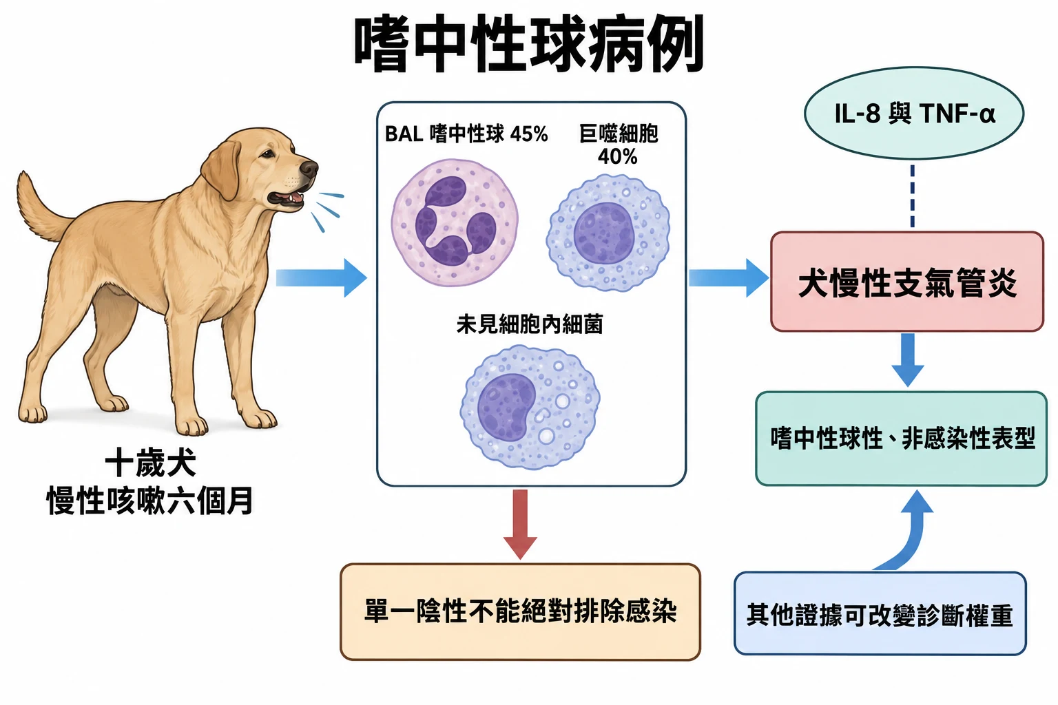 嗜中性球病例教學插圖