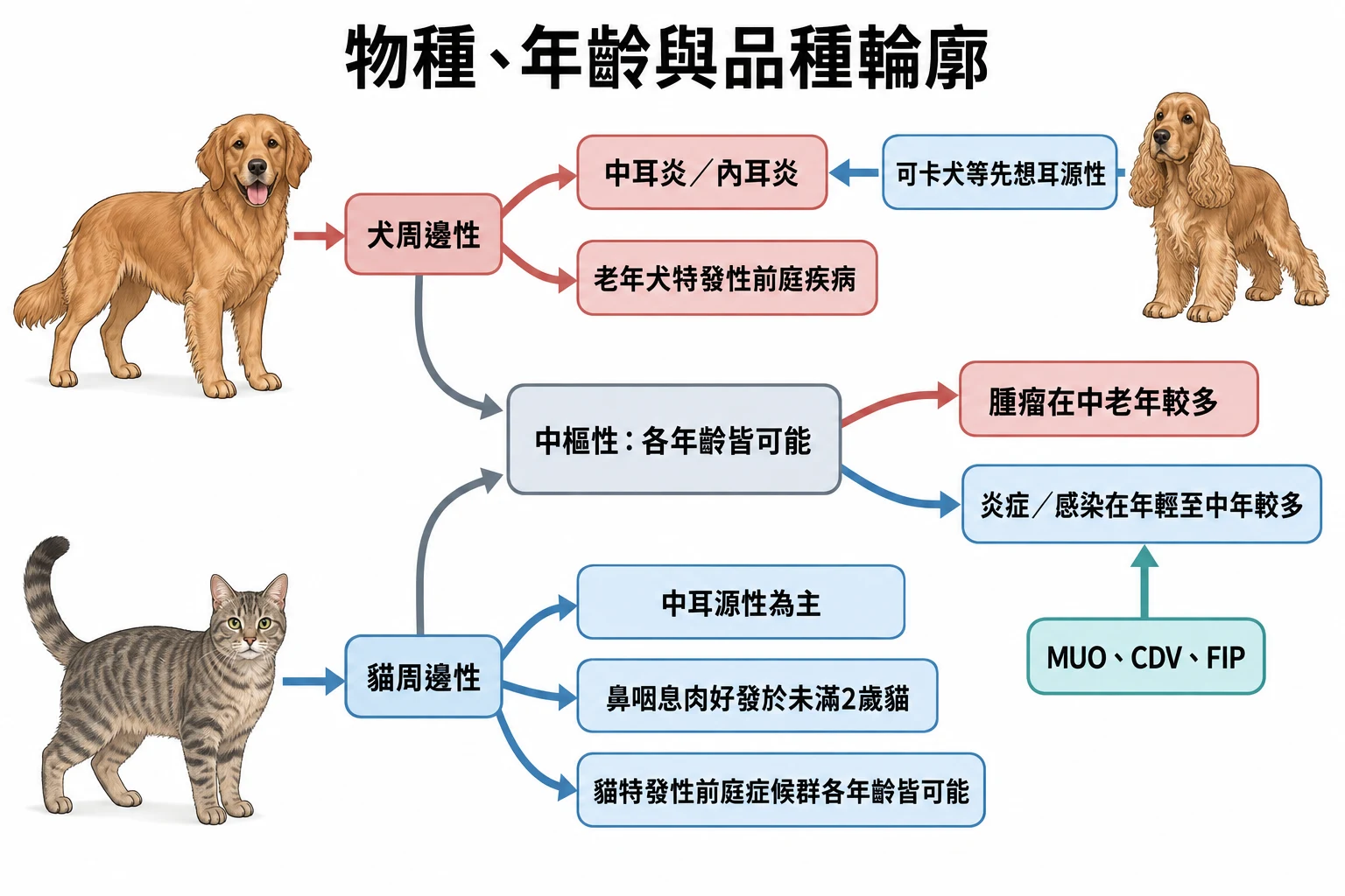 物種、年齡與品種輪廓教學插圖