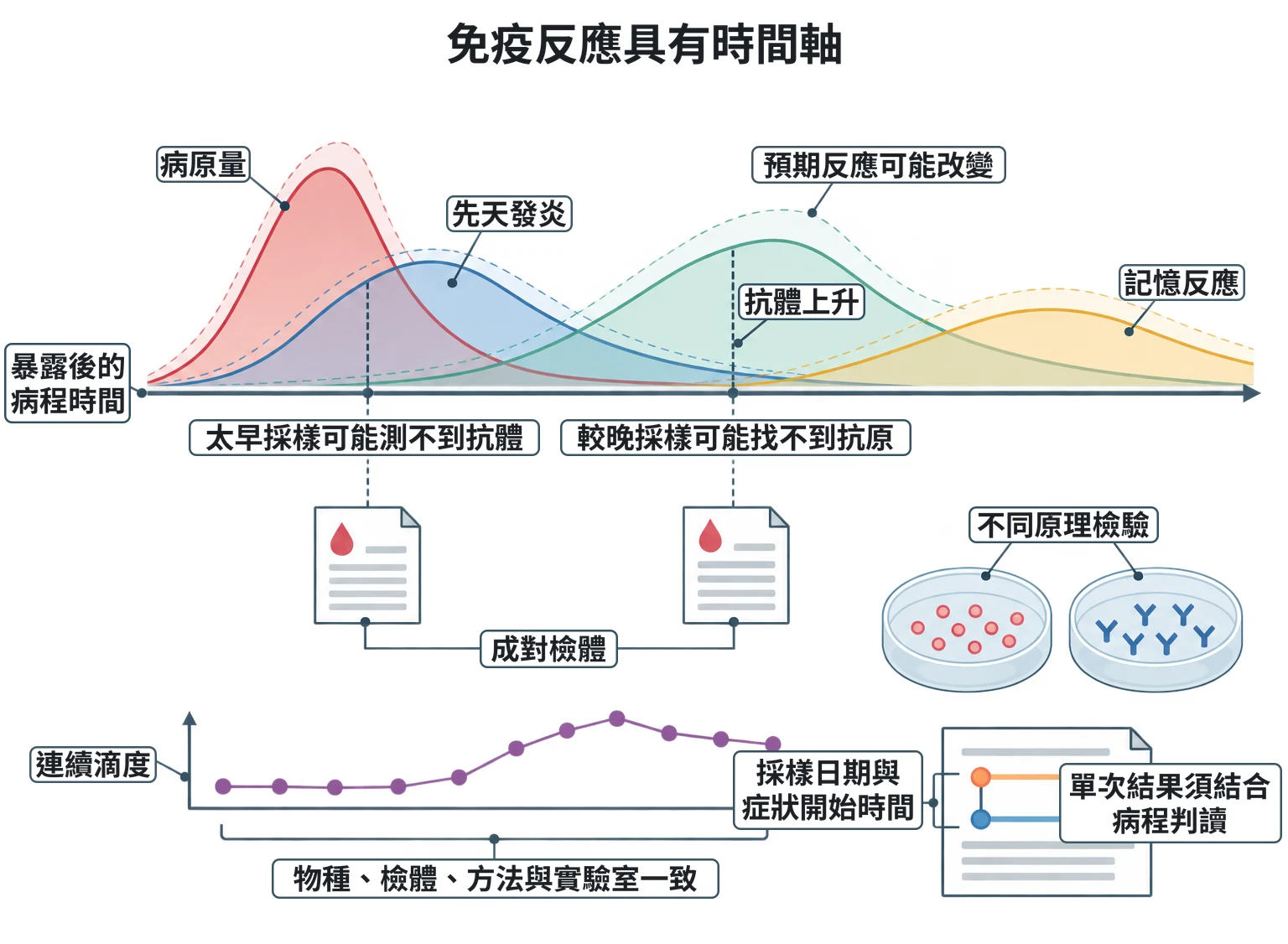 免疫反應具有時間軸教學插圖