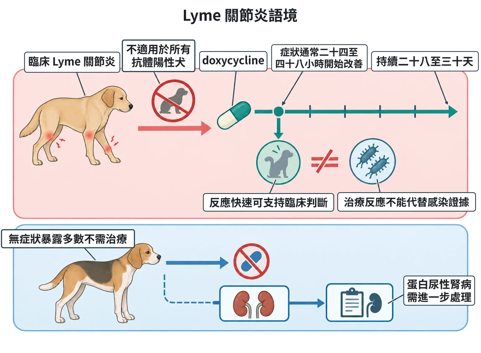 Lyme 關節炎語境教學插圖