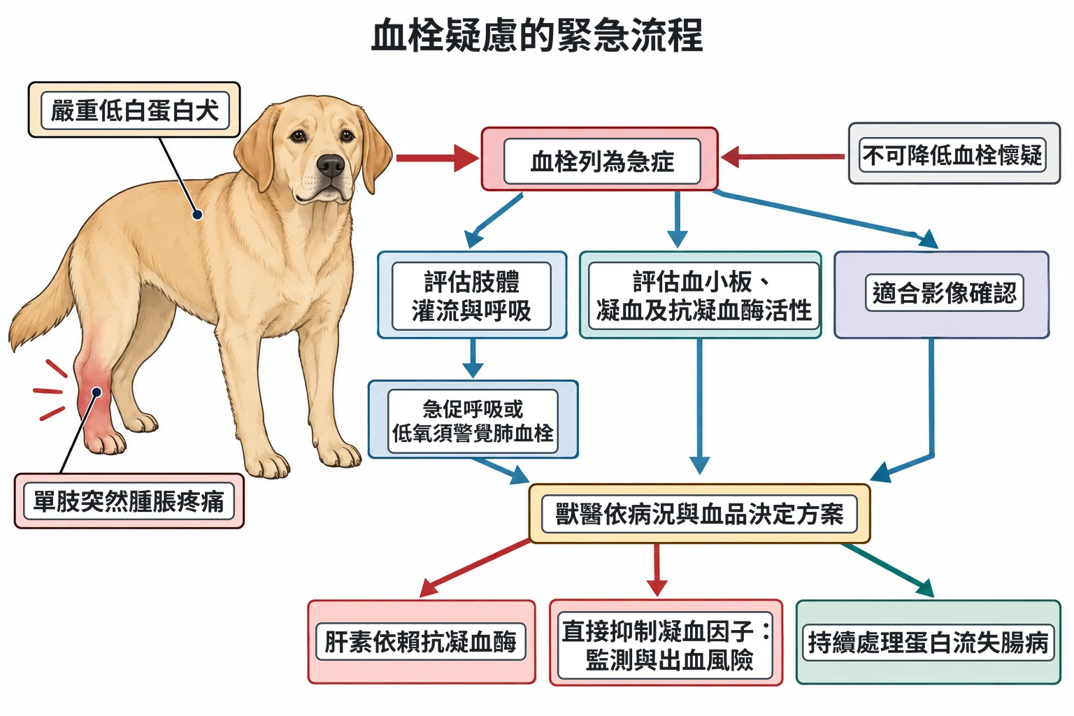 血栓疑慮的緊急流程教學插圖