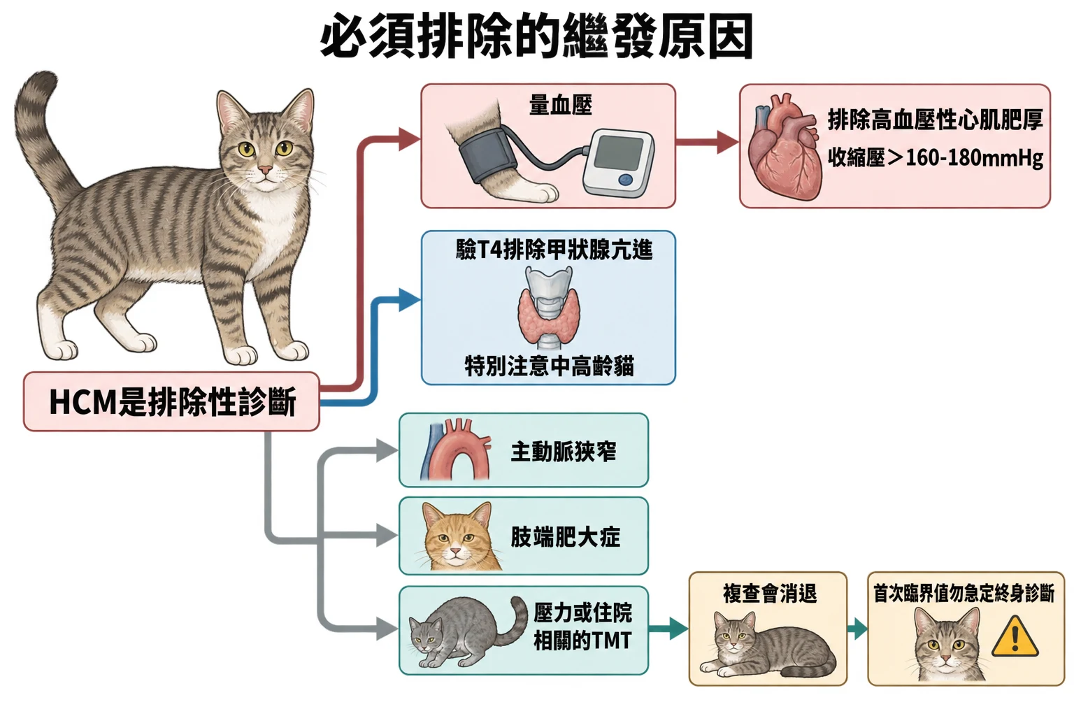 必須排除的繼發原因教學插圖