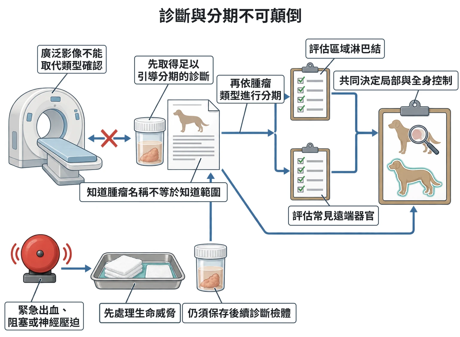 診斷與分期不可顛倒教學插圖