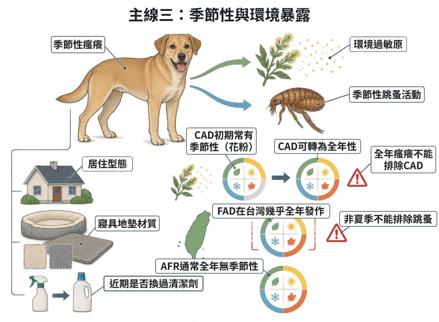 主線三:季節性與環境暴露教學插圖