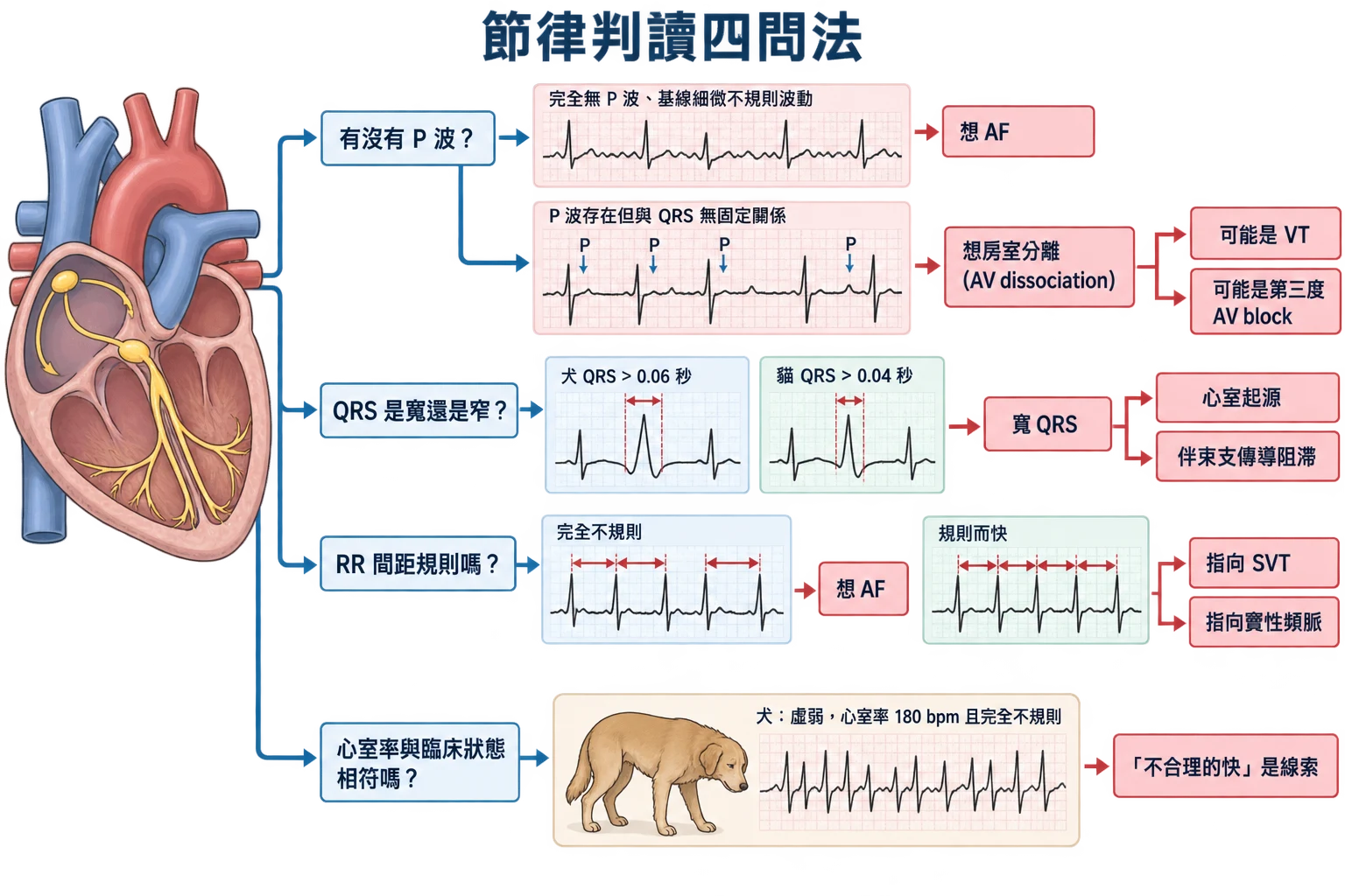 節律判讀四問法教學插圖