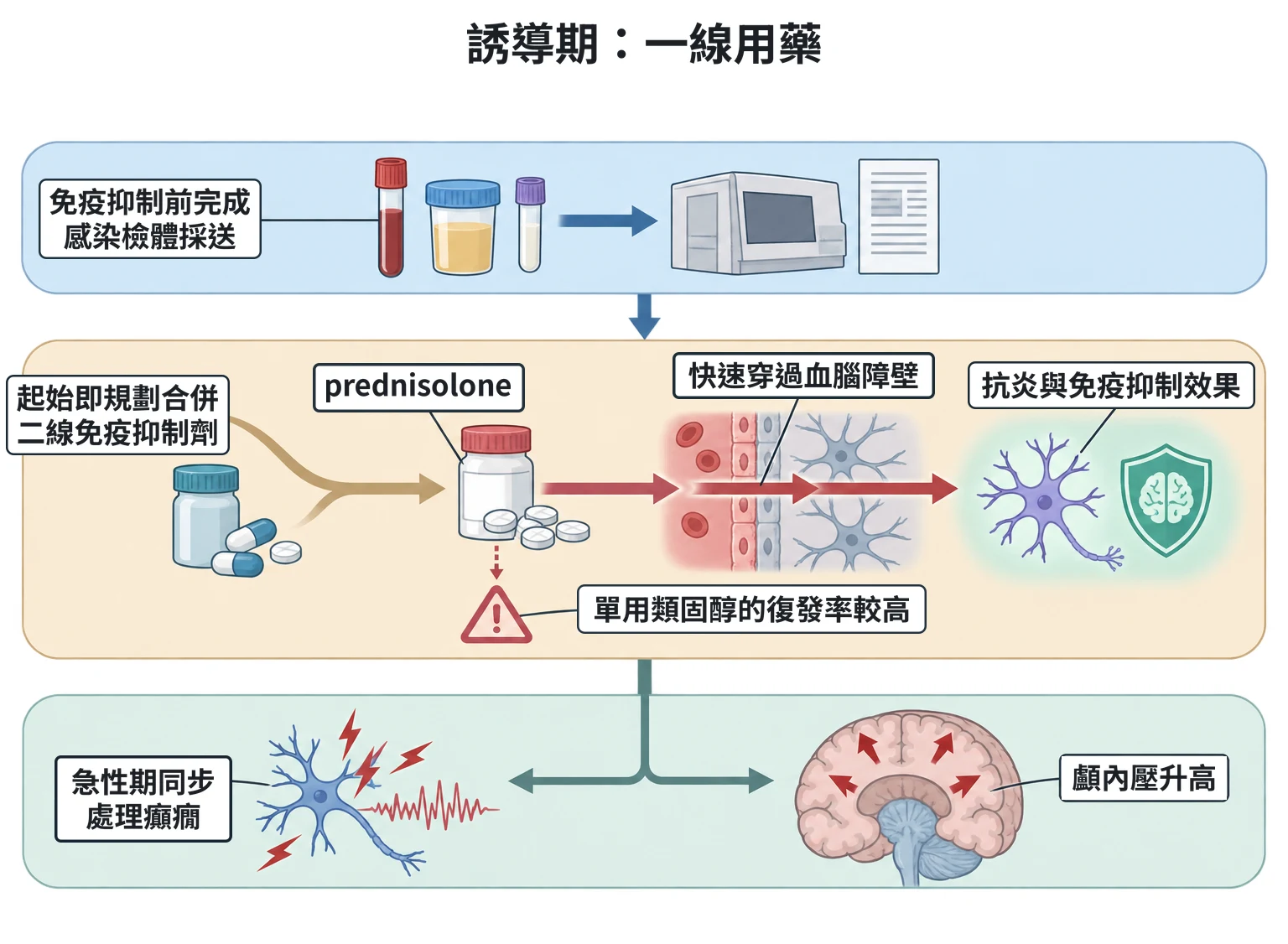 誘導期:一線用藥教學插圖