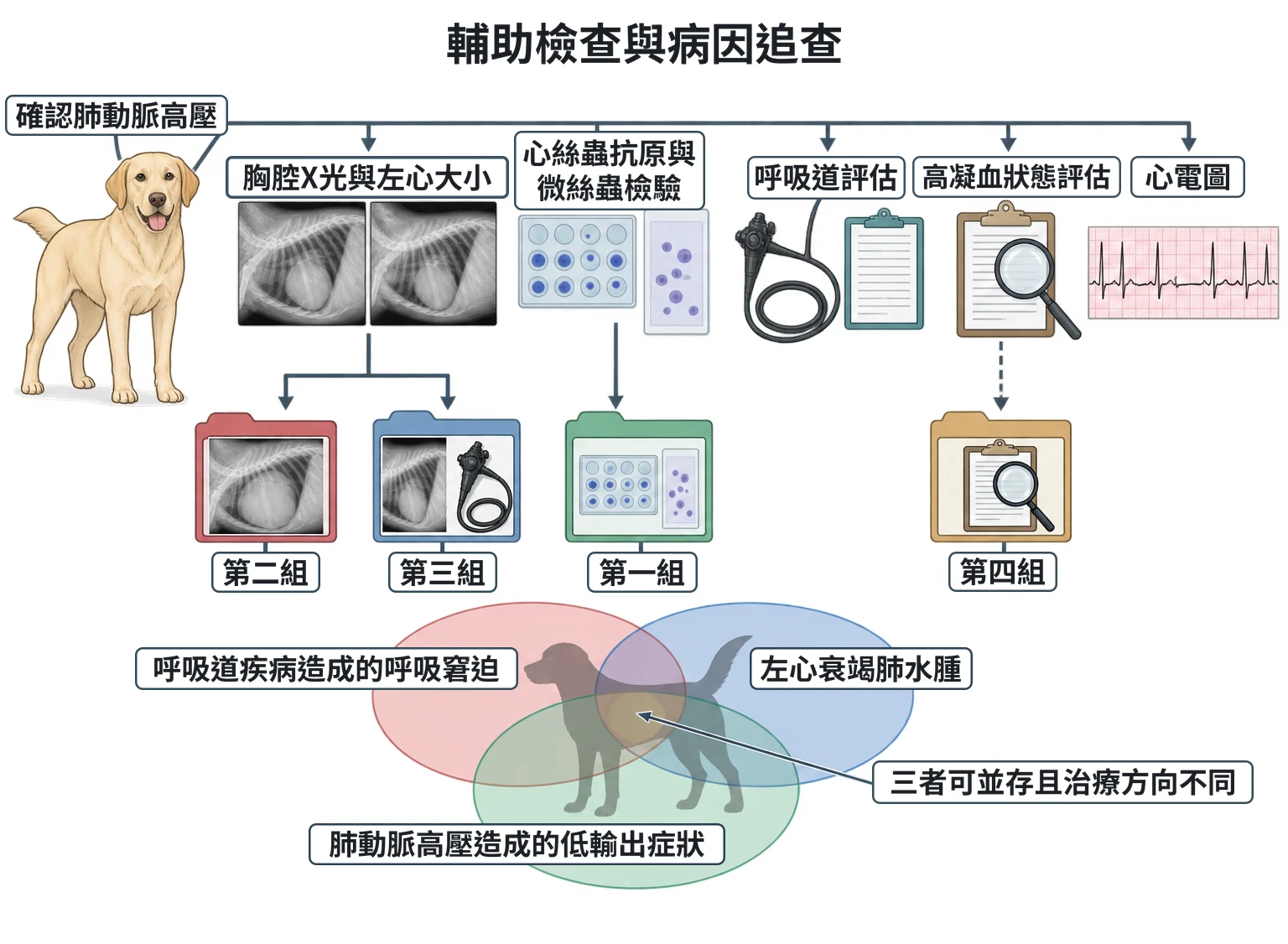 輔助檢查與病因追查教學插圖