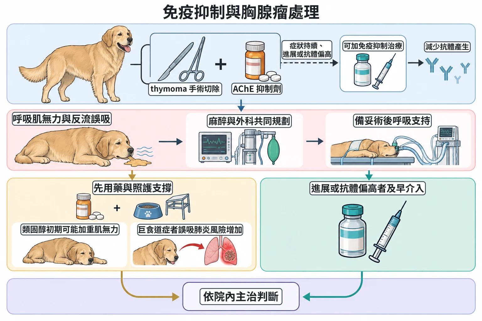 免疫抑制與胸腺瘤處理教學插圖