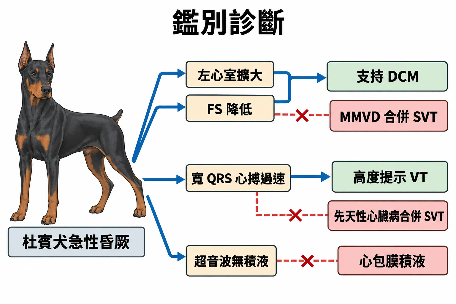 鑑別診斷教學插圖