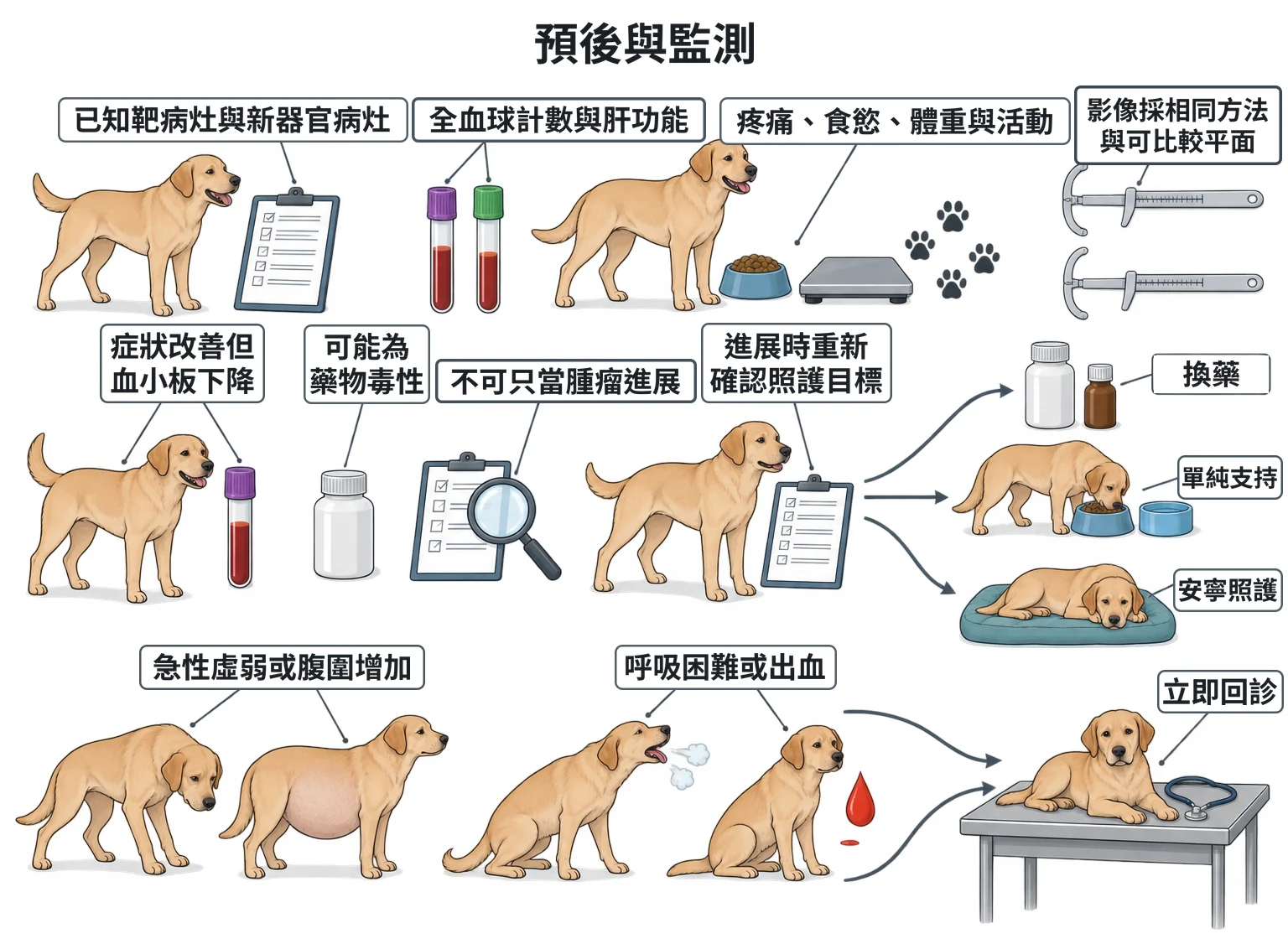 預後與監測教學插圖