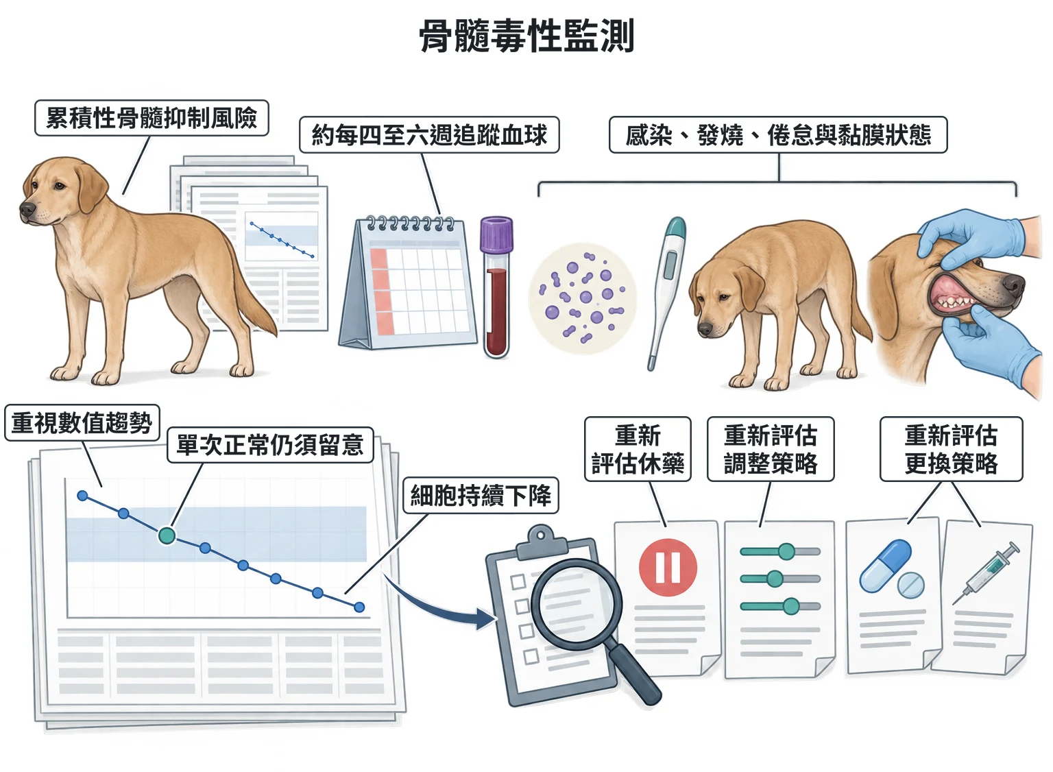 骨髓毒性監測教學插圖