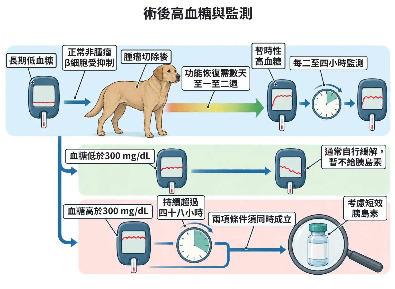術後高血糖與監測教學插圖