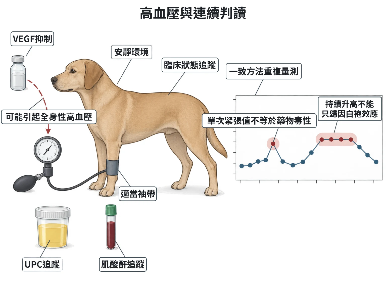 高血壓與連續判讀教學插圖