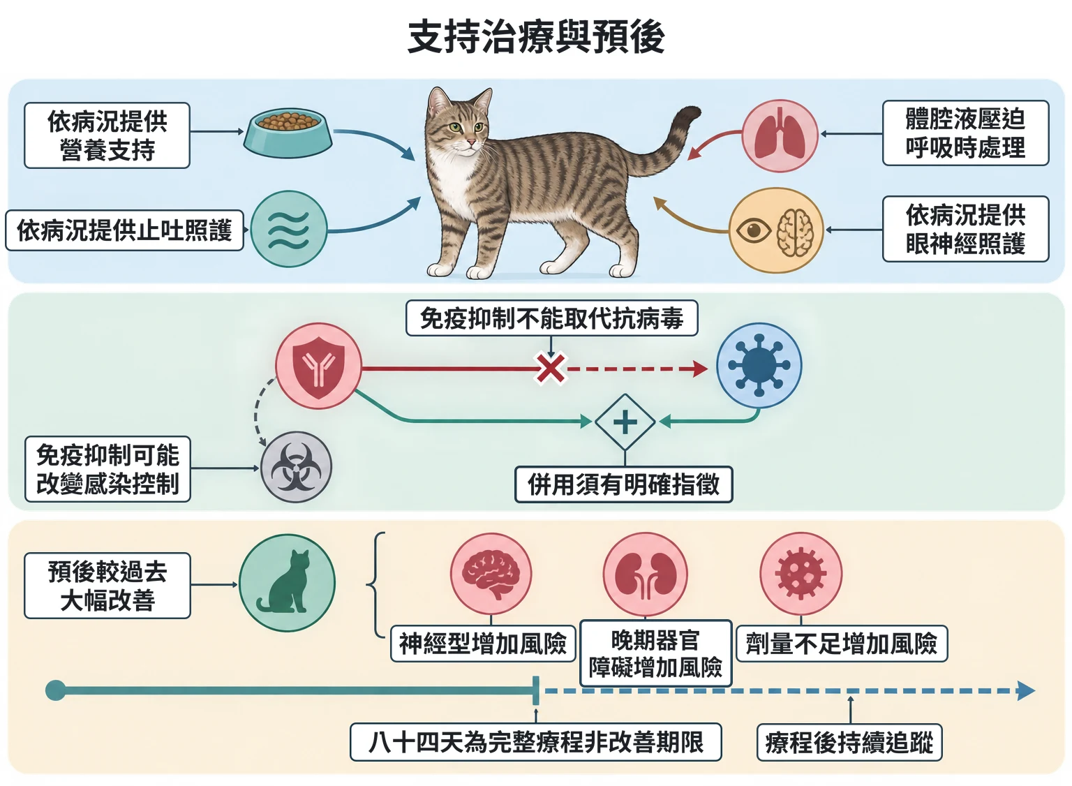 支持治療與預後教學插圖
