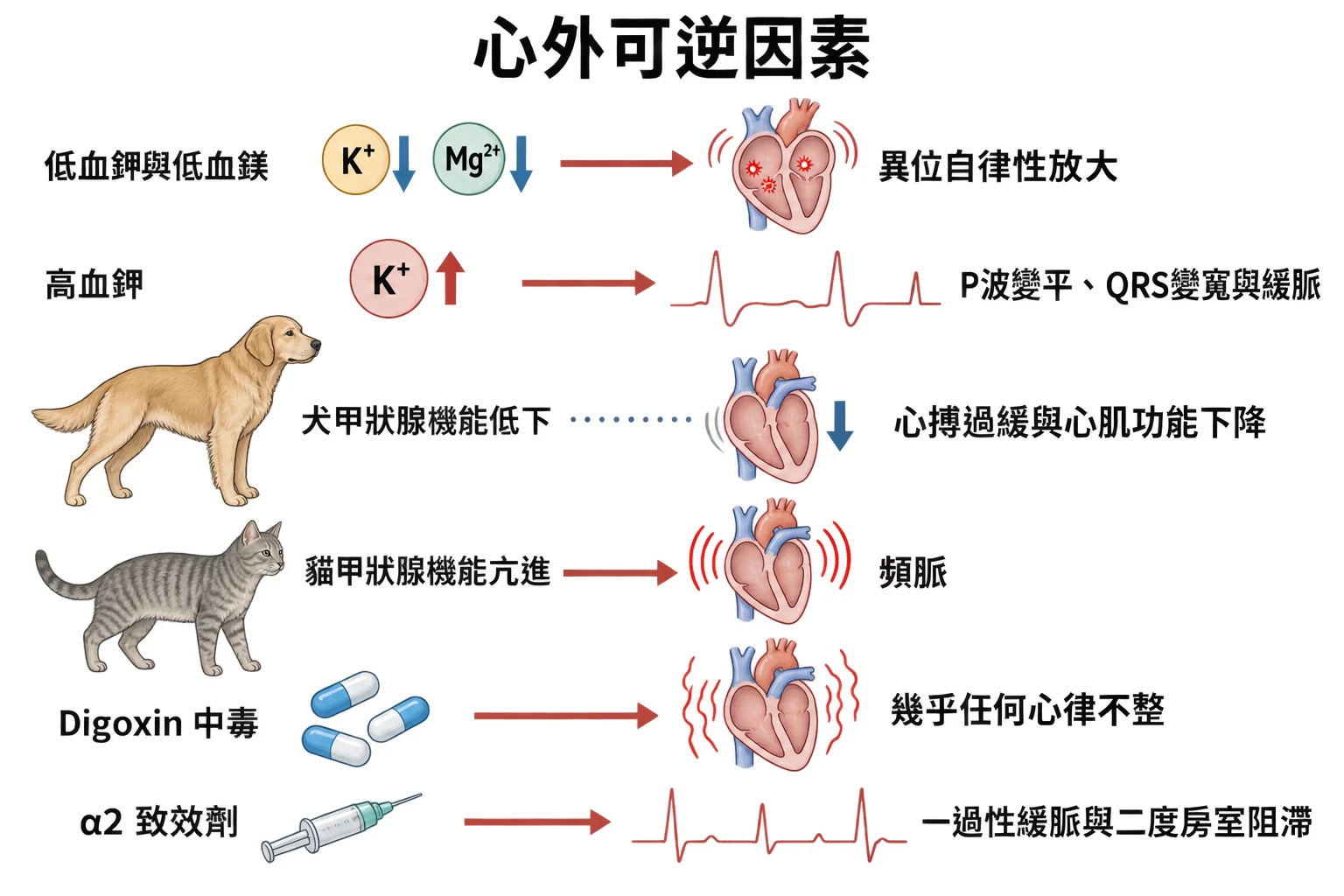 心外可逆因素教學插圖