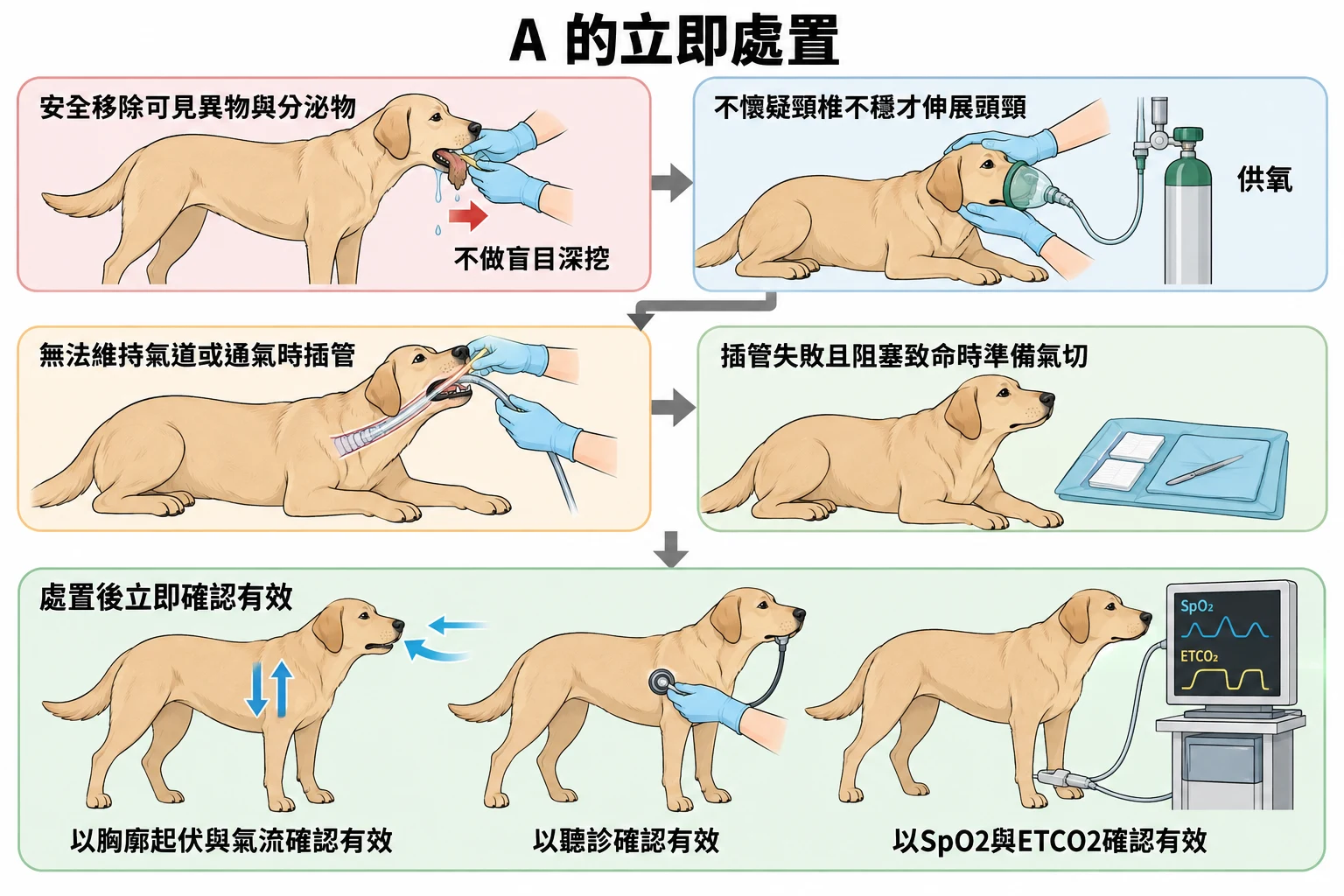 A 的立即處置教學插圖