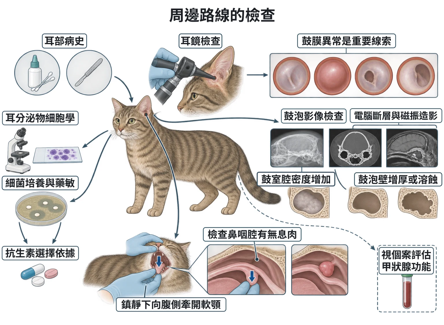 周邊路線的檢查教學插圖