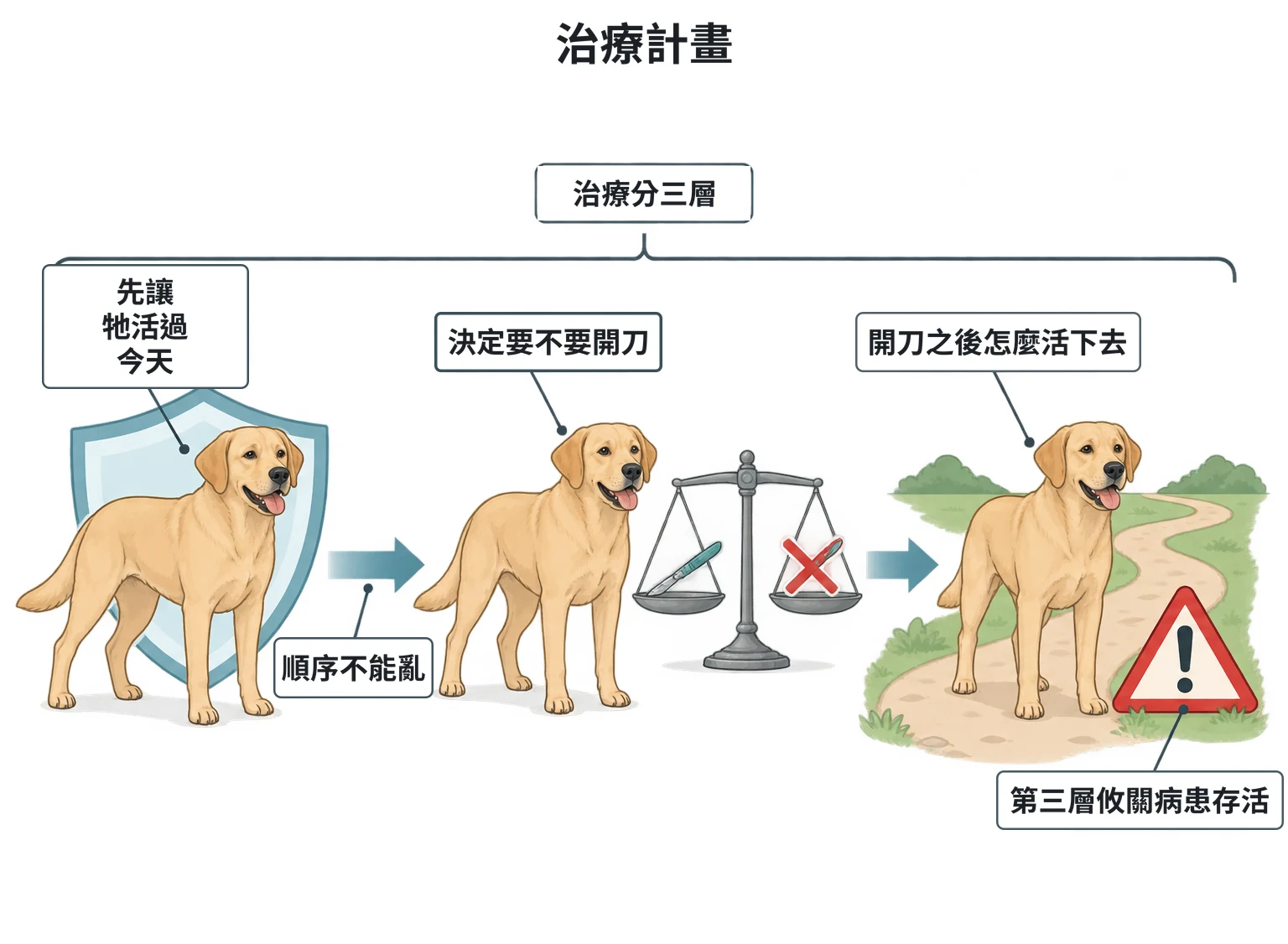 治療計畫教學插圖