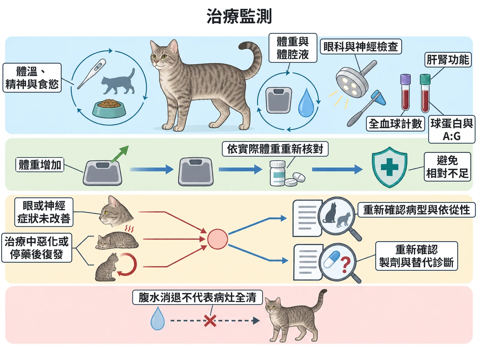治療監測教學插圖