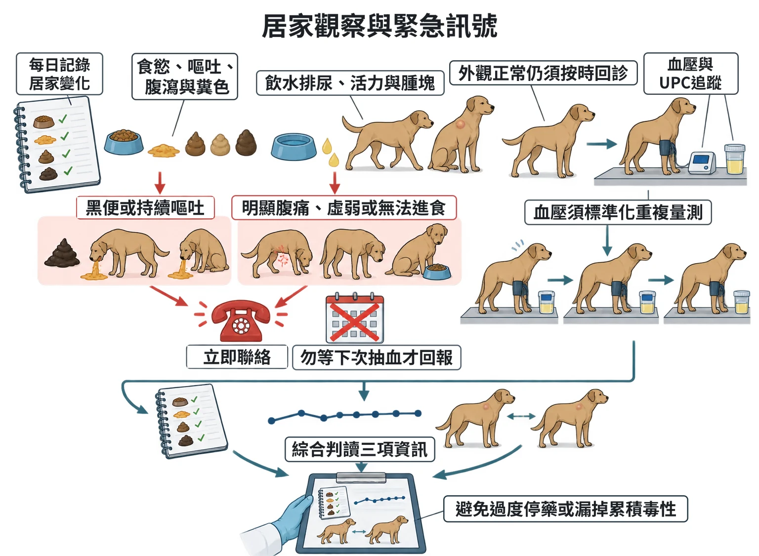 居家觀察與緊急訊號教學插圖