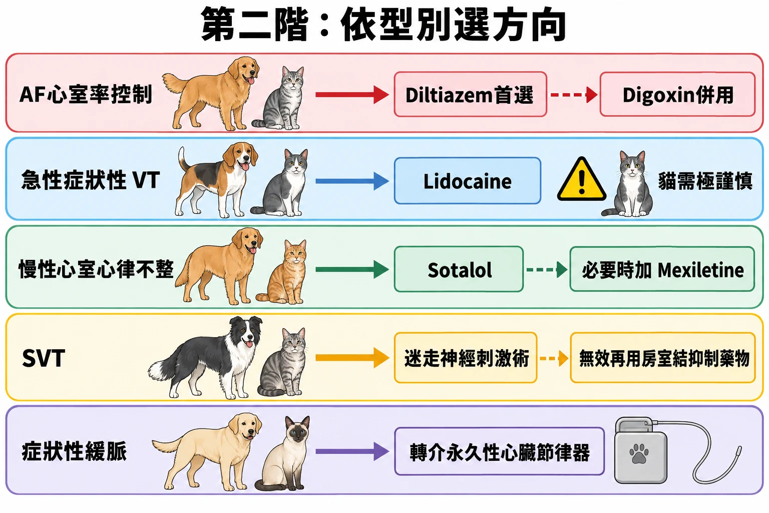 第二階:依型別選方向教學插圖