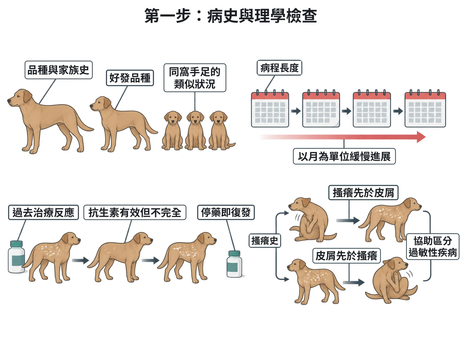 第一步:病史與理學檢查教學插圖