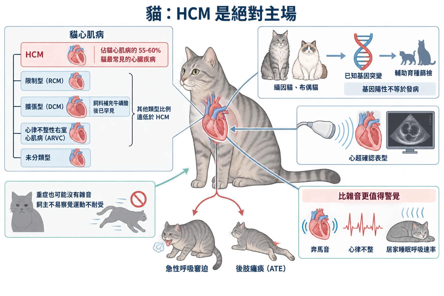貓:HCM 是絕對主場教學插圖