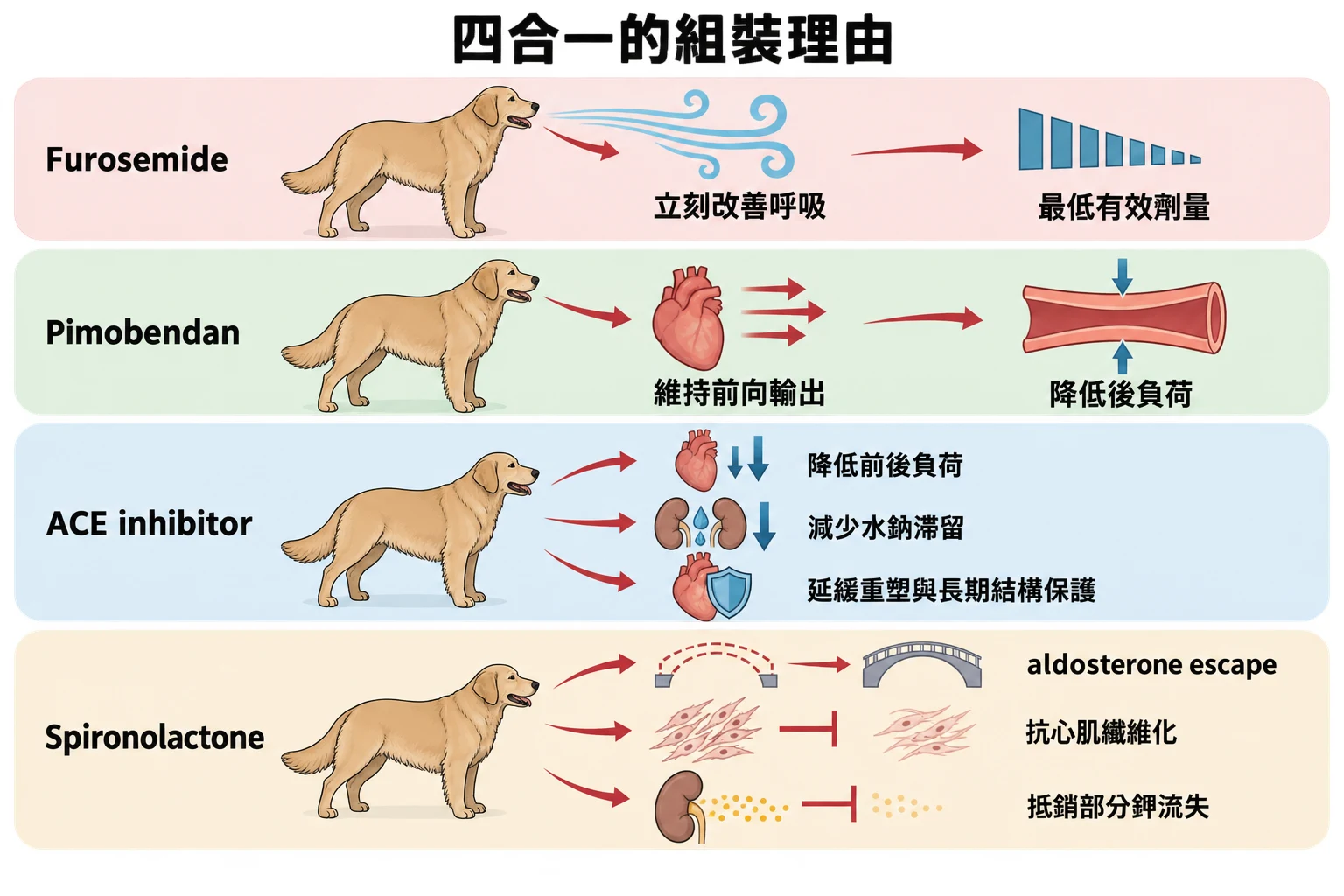 四合一的組裝理由教學插圖