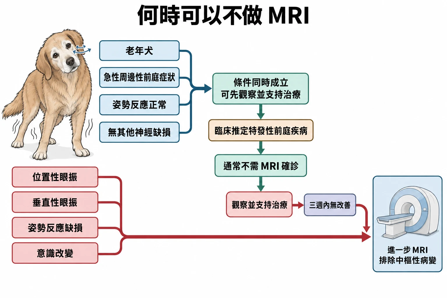 何時可以不做 MRI教學插圖