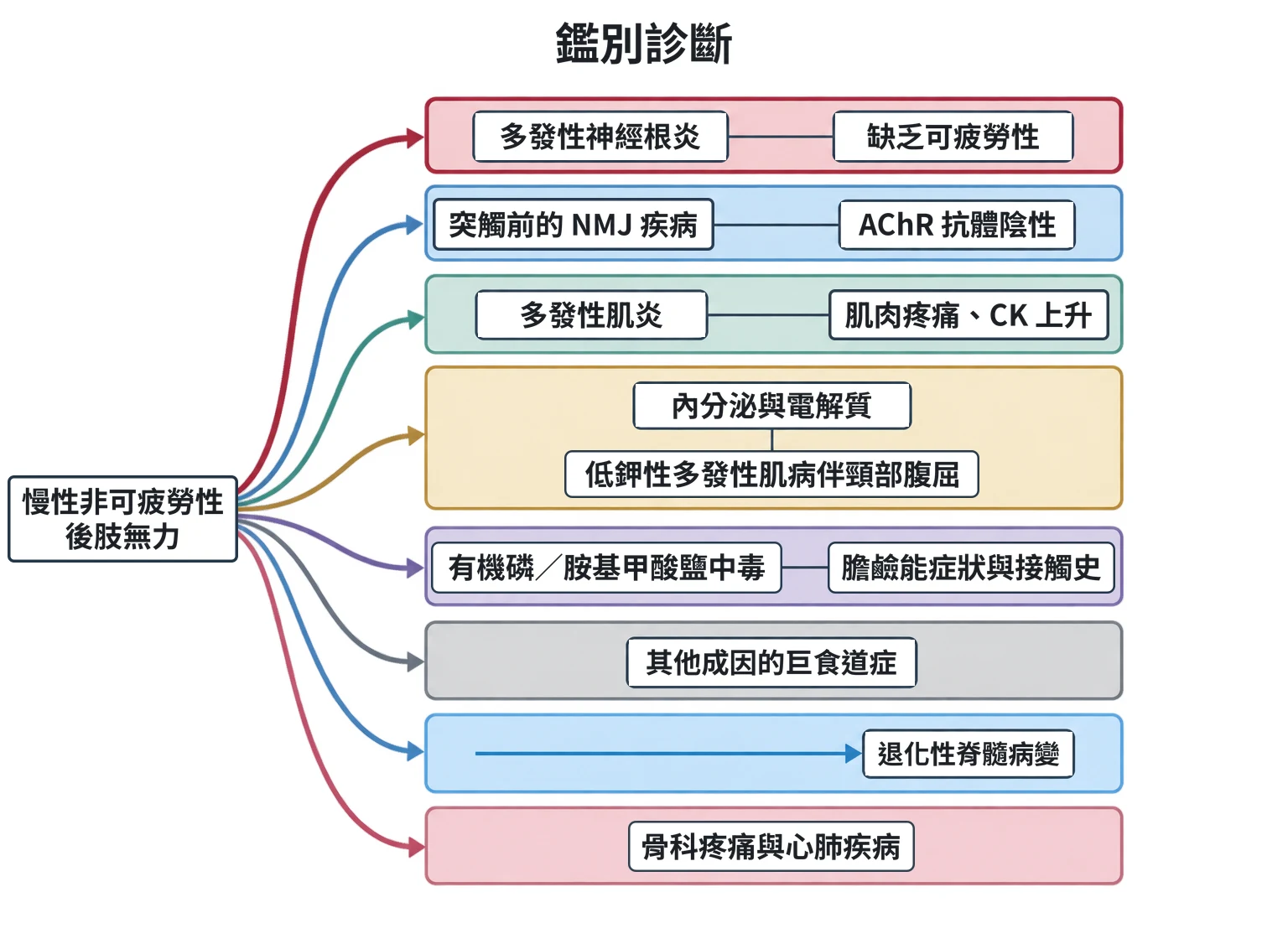 鑑別診斷教學插圖